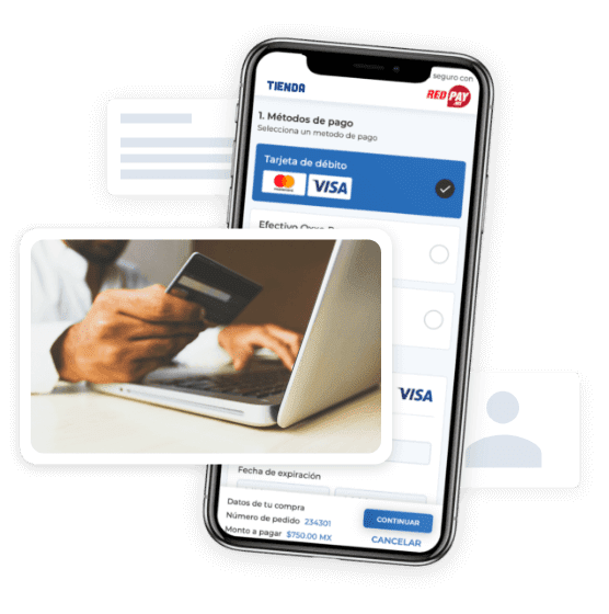 Pago con tarjeta, red pay, Pasarela de pagos